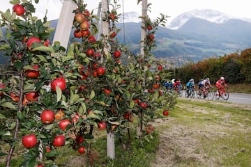 Panorámica del pelotón durante la etapa de hoy. 