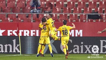 Los jugadores del M&aacute;laga, celebrando su gol al Girona.
