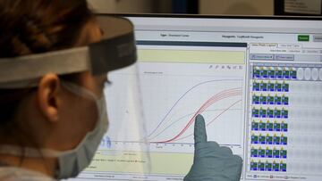 El coronavirus podría haber estado entrado en España desde el 14 de febrero y por 15 vías