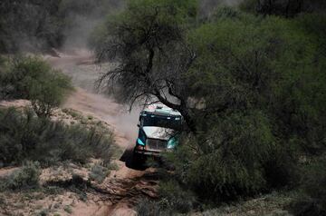 Decimotercera etapa entre San Juan y Córdoba. El piloto holandés Ton Van Genugten con Iveco.