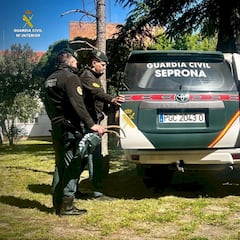 Los vecinos alertan sobre movimientos sospechosos, la Guardia Civil acude a su propiedad y destapan el delito en el arcón congelador