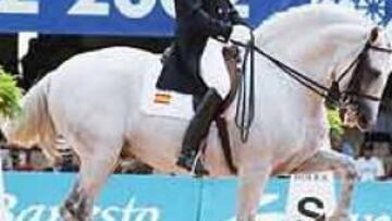 <b>COMPETICIÓN Y ELEGANCIA</b> Las competiciones celebradas en Jerez son el perfecto escaparate para ver caballos hermosos, que luchan por ser los primeros.