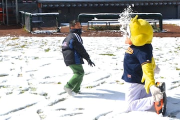 ¡Increible! La nieve cubre un campo de beisbol en México