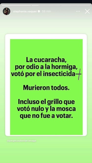 Una de las chilenas más reconocidas del momento elige entre Jara o Kast: “La cucaracha...”