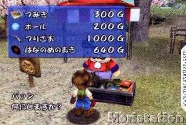 Harvest Moon: A Wonderful Life (GameCube)