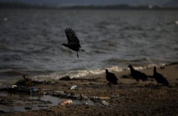 Este es el aspecto de la Bahía de Guanabara, a menos de 500 días de antelación de los JJOO de Río 2016. A pesar de millones de dólares de inversión en los últimos años, la bahía todavía apesta a aguas residuales.