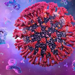 Variante Pirola de Covid: qué es, síntomas y cuántos casos hay en México