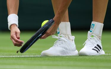 La sueca Mirjam Bjorklund (125ª del ranking WTA) cayó en primera ronda de Wimbledon ante la número dos del mundo, la tunecina Ons Jabeur, por 6-1 y 6-3. En un momento del partido, la tenista nórdica no dudó en coger con su raqueta a un pequeño insecto que se posó sobre la hierba de la pista para evitar que fuera aplastado.