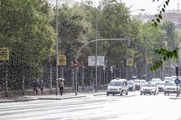 La DANA situada sobre el territorio español ha dejado importantes precipitaciones y tormentas, lo que ha provocado imágenes impactantes con sus consecuencias. Según el pronóstico de la Agencia Estatal de Meteorología (Aemet), que ha emitido un nuevo aviso especial por las lluvias y tormentas que se espera que continúen hasta el lunes. La Comunidad de Madrid y Toledo están bajo aviso rojo ante el riego de que se acumulen 120 litros por metro cuadrado en 12 horas.