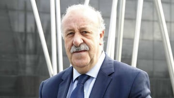 Del Bosque y el Mundial: "Tengo mucha confianza en el equipo"