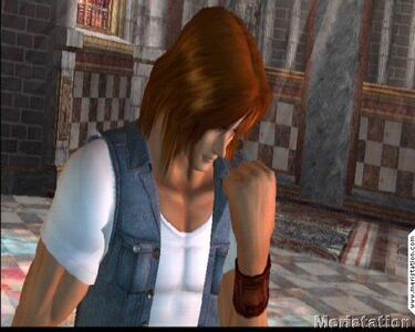 Dead or Alive Ultimate, Impresiones