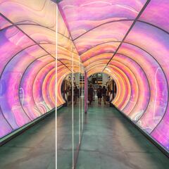 La tienda que abrió en Santiago y que desafía los estándares tradicionales