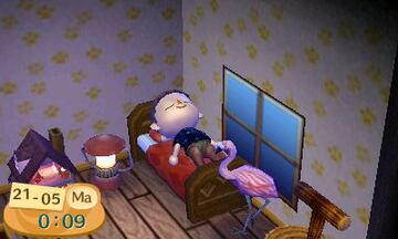 Captura de pantalla - Animal Crossing: New Leaf (3DS)