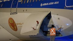 Vacunas coronavirus: cuántas dosis llegaron a Argentina y cuándo se distribuirán