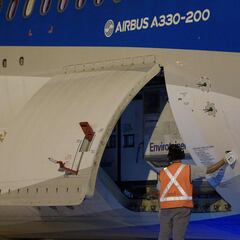 Vacunas coronavirus: cuántas dosis llegaron a Argentina y cuándo se distribuirán