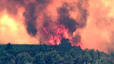 El incendio de Andilla en 2012 fue uno de los episodios más trágicos y devastadores en la historia forestal de la Comunidad Valenciana, y tuvo lugar de forma casi simultánea a otro gran incendio en Cortes de Pallás. El incendio se declaró el 29 de junio de 2012 en el término municipal de Andilla, provincia de Valencia. La causa del incendio fue una negligencia humana, concretamente, una quema agrícola no autorizada o mal controlada. ste incendio arrasó cerca de 20.000 hectáreas de terreno forestal y agrícola, afectando gravemente a una amplia zona.