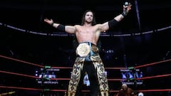 Las mejores luchas por el Megacampeonato en Triplemanía