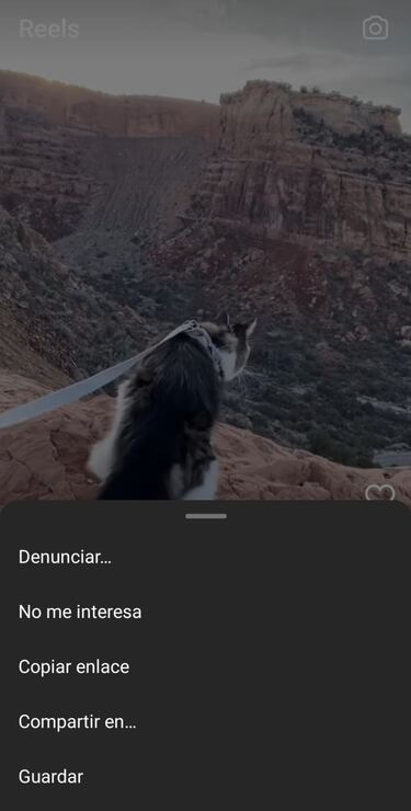 Cómo compartir los Reels de Instagram