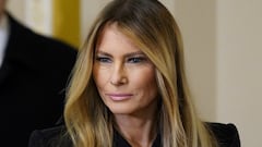 Author Michael Wolff’s lawsuit: Why the journalist - biographer is suing First Lady Melania Trump