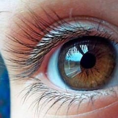 La parte del cuerpo que si se protege se pueden reducir notablemente los contagios