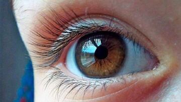 La parte del cuerpo que si se protege se pueden reducir notablemente los contagios