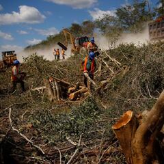 El video sobre Dama Blanca y el Tren Maya que AMLO no quiere que veas