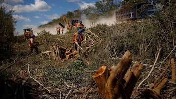 El video sobre Dama Blanca y el Tren Maya que AMLO no quiere que veas