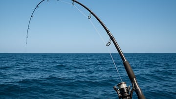 Bigger than him: 13-year-old reels in a potentially record-breaking giant fish