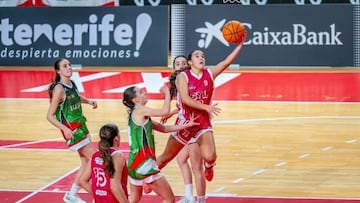 Nuevo récord de licencias en el baloncesto