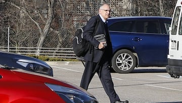 Camps, la mano derecha de Rubiales, en la comisi¨®n del COE para la Ley del Deporte