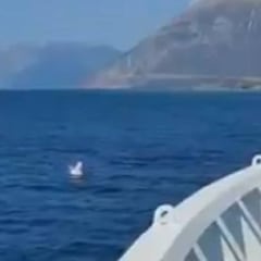 Rescatan en Grecia a un niña que iba en un flotador de unicornio a medio kilómetro de la costa