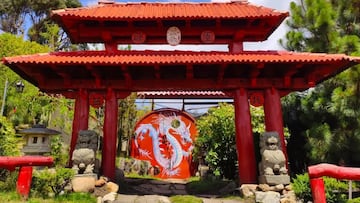 El museo Dragón Dorado del Bonsái cuenta con más de mil ejemplares de este árbol japonés y está ubicado a una hora de Bogotá.