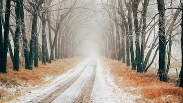 Ante condiciones climáticas exigentes, usa neumáticos de invierno