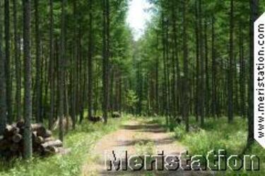 PSP tendrá su propio entrenador mental