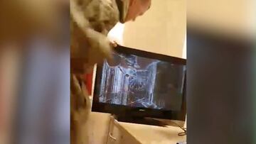 ¿Locura transitoria por el FIFA? Revienta la tele tras perder