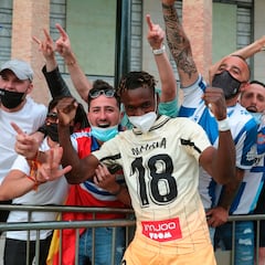 Los pericos se multiplican de una decena a más de 2.000 en Zaragoza