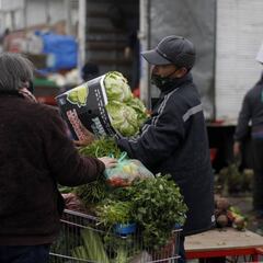 Ingreso Familiar 2.0: nuevos grupos y beneficiarios del aporte en junio