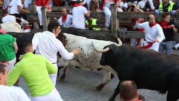 Cuarto encierro de los Sanfermines 2019 con toros de Jandilla