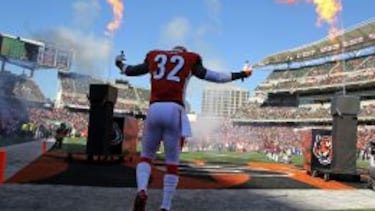 Así son las tripas de los Bengals