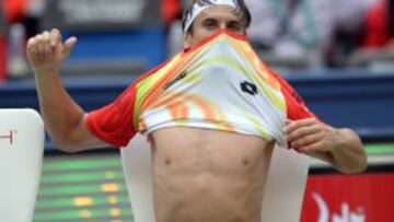 David Ferrer.