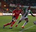 La UEFA no levanta el castigo al medio del Benfica Markovic