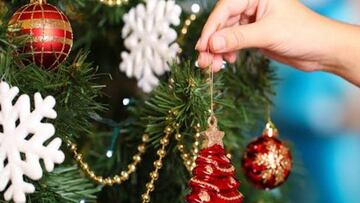Se cansa de que sus gatos le rompan el árbol de Navidad y su solución no podía ir peor