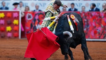 Corridas de toros vuelven a la CDMX: Suprema Corte elimina suspensión en Plaza México