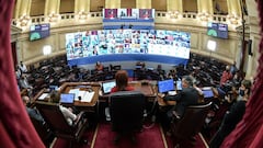 Ley del Aborto: ¿cuántos senadores hay en Argentina y cuántos votos hacen falta para su aprobación?