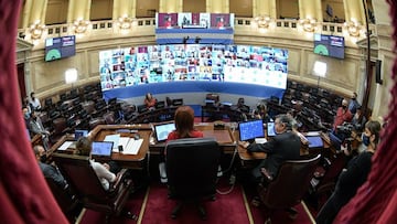 Ley del Aborto: ¿cuántos senadores hay en Argentina y cuántos votos hacen falta para su aprobación?