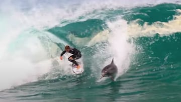 Un delfín le salta una ola al surfista Soli Bailey en Australia, en abril del 2021.