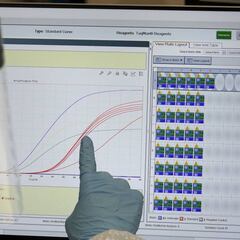 Coronavirus news summary: cases and deaths - 23 April