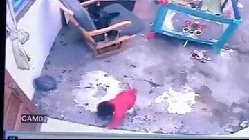 Un gato se hace viral tras salvar la vida de un bebé que iba a caer escaleras abajo