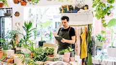 Las nuevas líneas de financiación del ICO para autónomos que buscan crecer