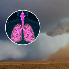 Polvo del Sahara: qué es, cuáles son sus efectos y recomendaciones para protegerse